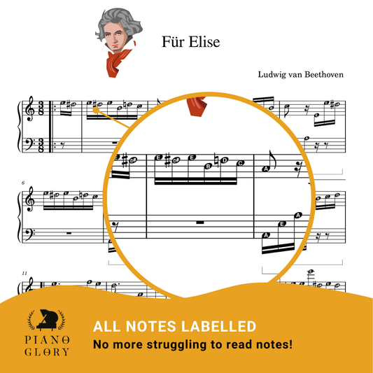 One page of 'Für Elise' piano sheet music with labeled notes, designed to help you learn Für Elise on piano more easily. The note labels eliminate the struggle of identifying notes, making practice more efficient and enjoyable